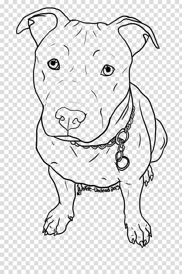 How To Draw A Pitbull Step By Step