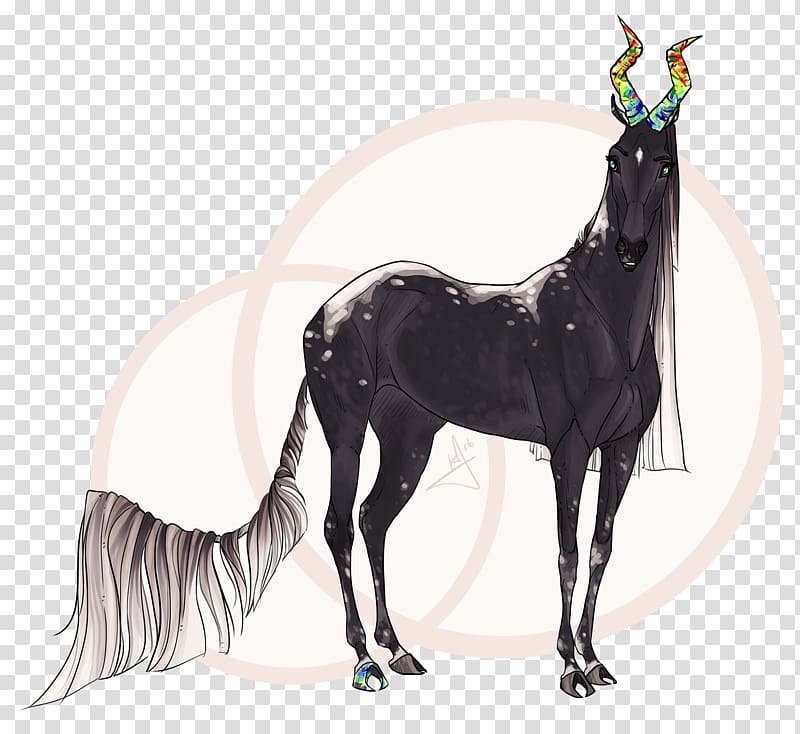 Stallion Drawing Horse Pony Foal, dream unicorn transparent background PNG clipart