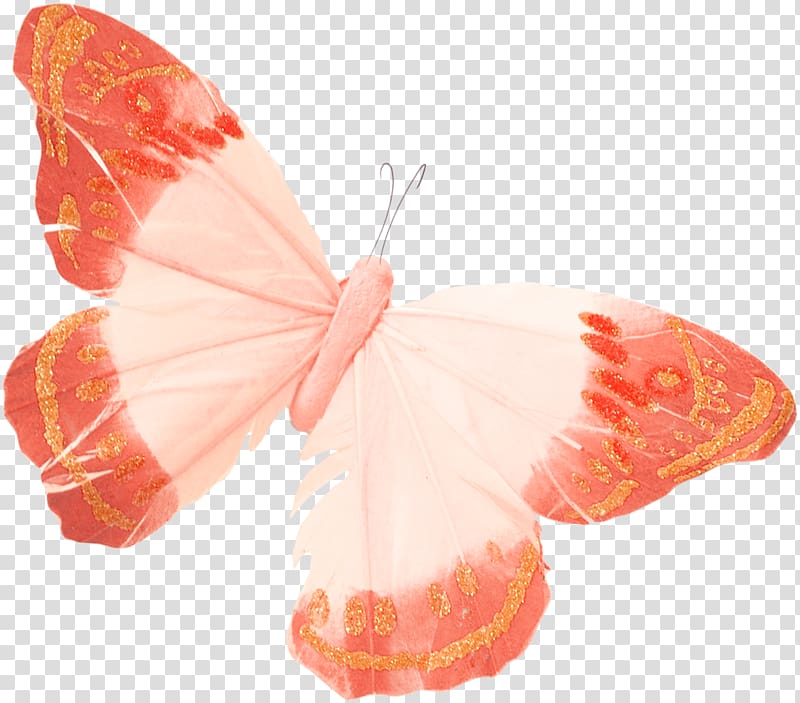 Butterfly Apollo , butterfly transparent background PNG clipart