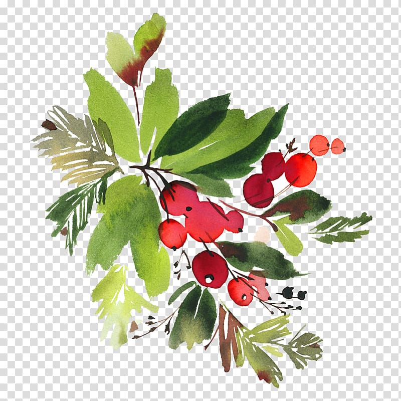 red, green, and brown cherries and leaves illustration, Watercolour Flowers Floral design Watercolor painting , christmas transparent background PNG clipart