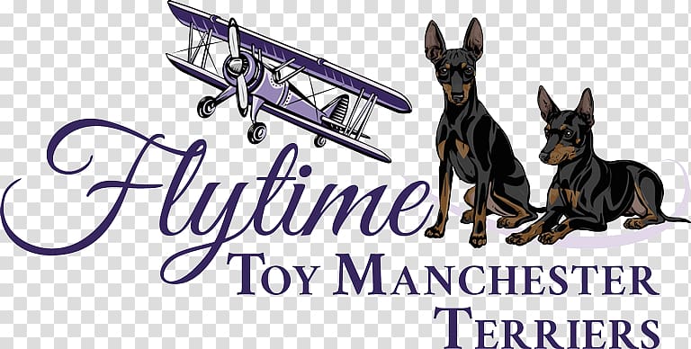 Dog breed Breeder Manchester\'s Grill, Toy Manchester Terrier transparent background PNG clipart