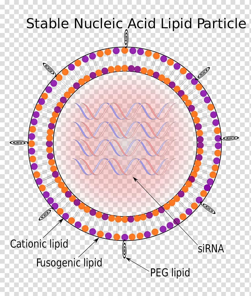 Stable nucleic acid lipid particle Solid lipid nanoparticle, rna virus particle transparent background PNG clipart