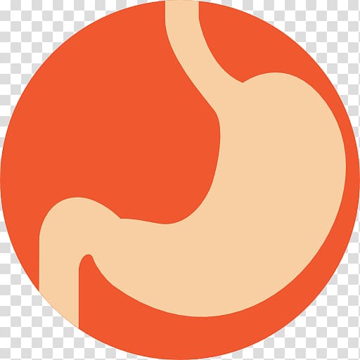 Computer Icons Stomach Gastric bypass surgery Digestion, gastrointestinal transparent background PNG clipart