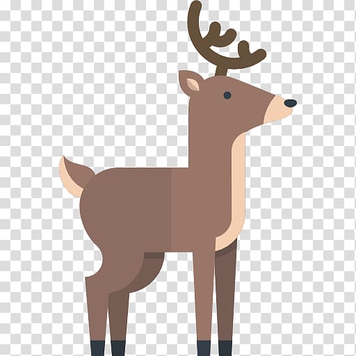 Reindeer Red deer Sika deer, Reindeer transparent background PNG clipart