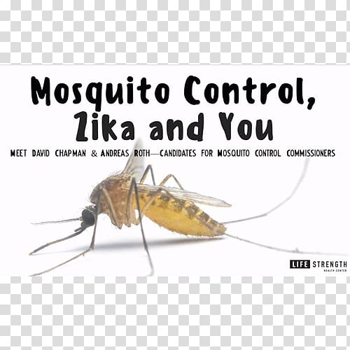 Mosquito Eco Tech Pest Control Cockroach, mosquito transparent background PNG clipart