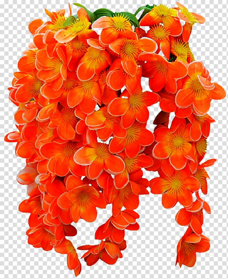 Cut flowers Petal, tropical print transparent background PNG clipart