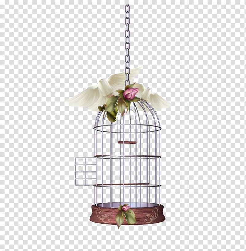 brown and gray birdcage illustration, Birdcage Parrot, Beautiful bird cage material free to pull transparent background PNG clipart