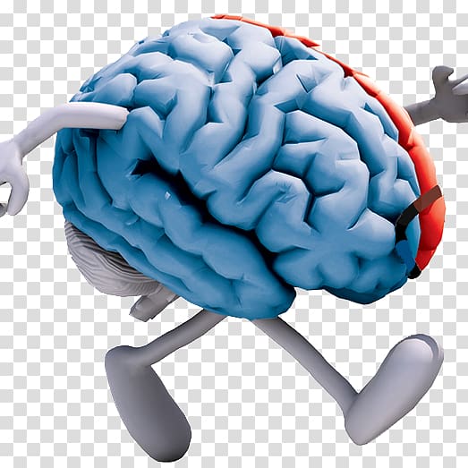 Exercise Brain Cognitive training Neuroscience Neuroplasticity, work life balance transparent background PNG clipart