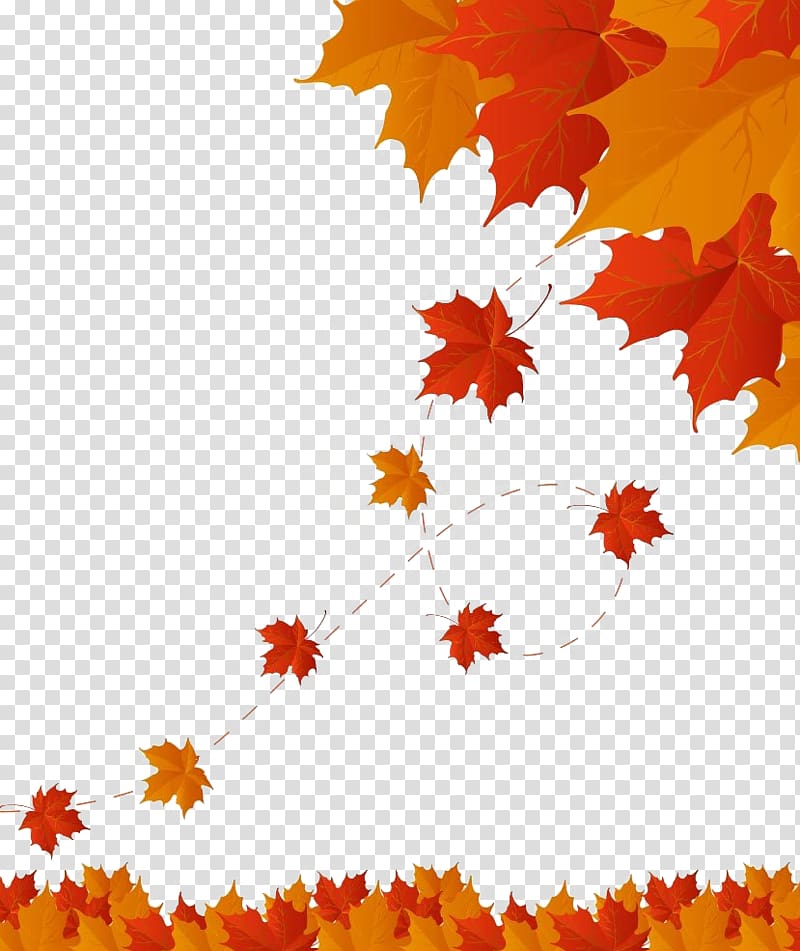 Autumn leaf color, Maple autumn leaves material transparent background PNG clipart