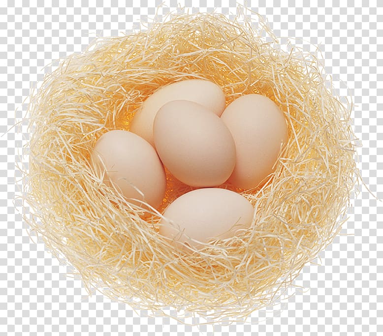 eggs PNG transparent image download, size: 1650x1365px