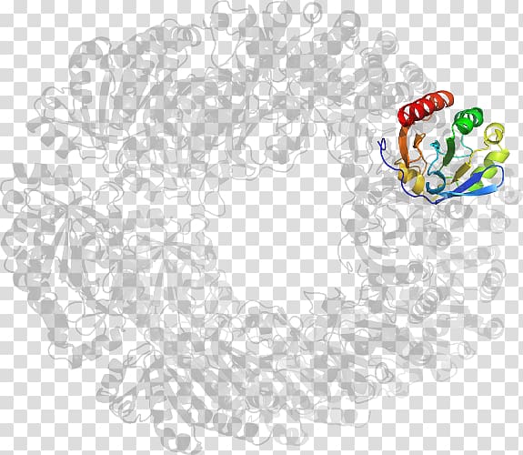 Visual arts Flower , Flap Structurespecific Endonuclease 1 transparent background PNG clipart