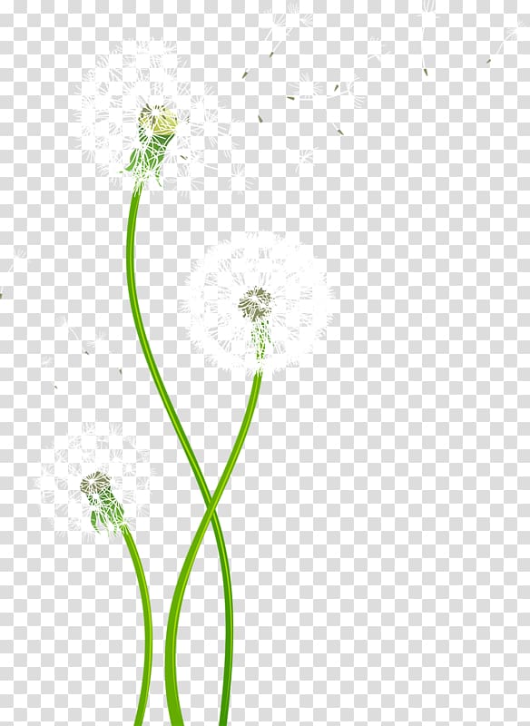 graphics Portable Network Graphics Adobe Illustrator , wildflower transparent background PNG clipart