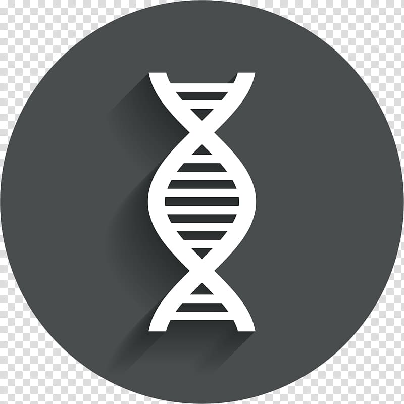 DNA polymerase DNA profiling Computer Icons, DNA transparent background PNG clipart