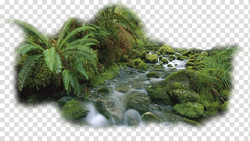 , waterfall transparent background PNG clipart