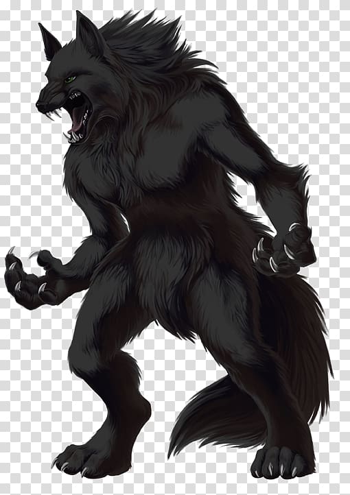 Gray wolf Werewolf, werewolf transparent background PNG clipart