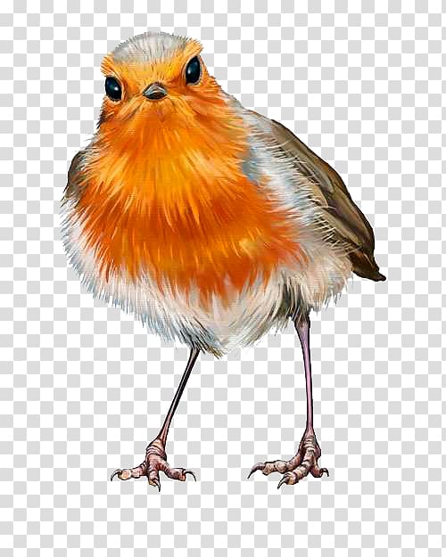 European robin Oil painting , painting transparent background PNG clipart