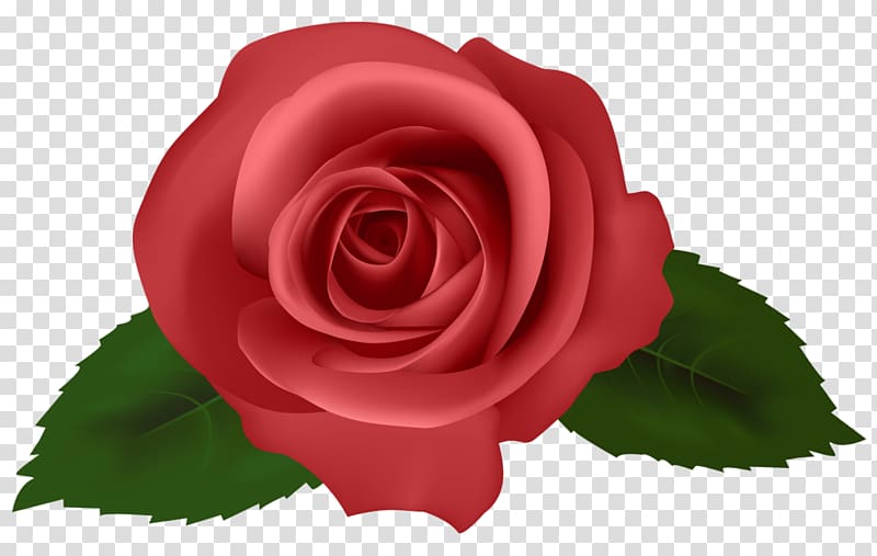 Rose Drawing , little man scatters flowers transparent background PNG clipart