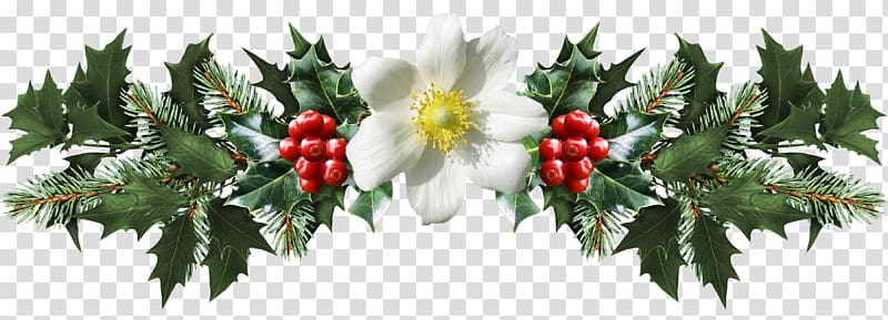 Common holly Mistletoe Christmas , mistletoe transparent background PNG clipart