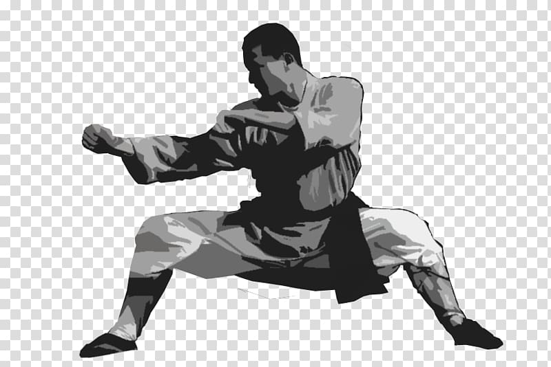 Chinese martial arts Yiquan Wushu Taolu, others transparent background PNG clipart