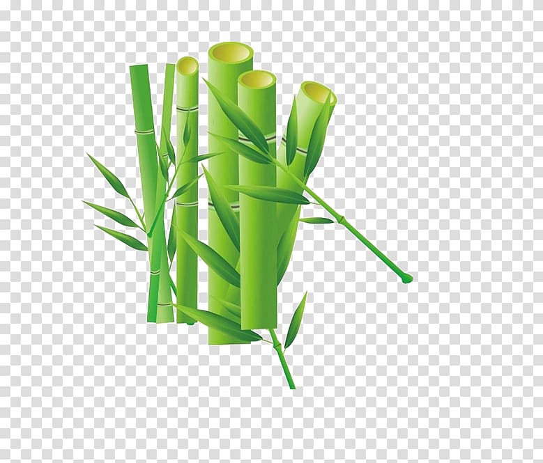 Bamboo Drawing Cartoon, Free pull element Bamboo transparent background PNG clipart