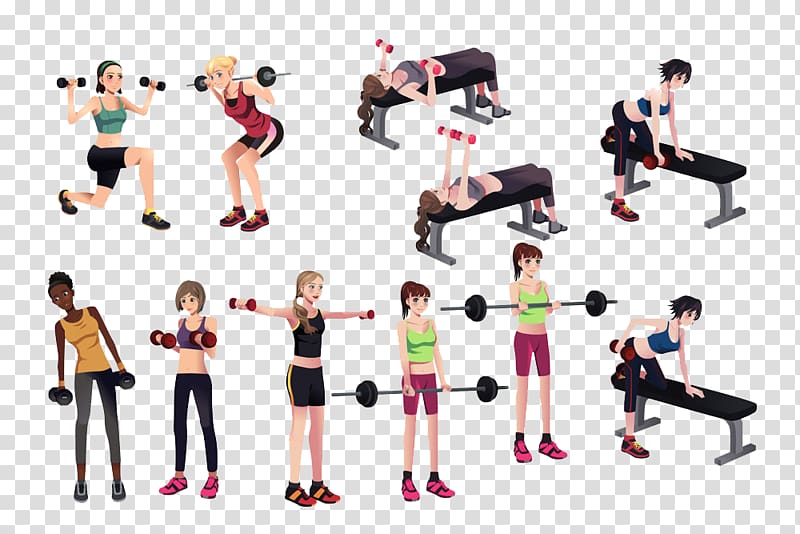 Physical exercise Weight training Squat Barbell Dumbbell, Fitness Girl Collection transparent background PNG clipart