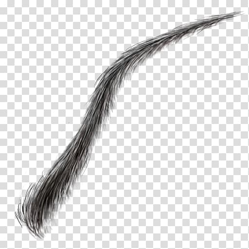 Eyebrow Hair file formats, eyelashes transparent background PNG clipart