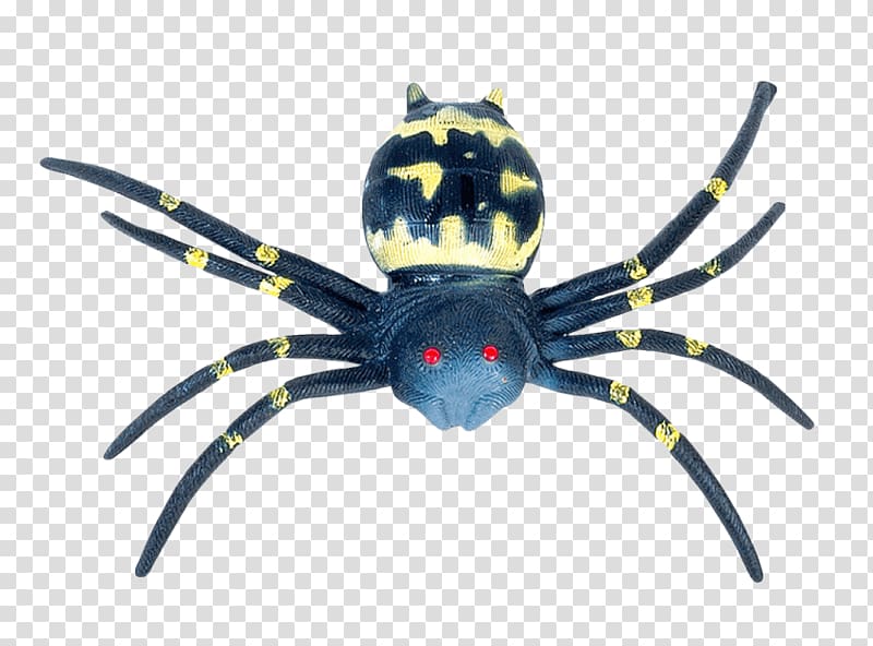 Southern black widow Portable Network Graphics Spider Transparency, spider transparent background PNG clipart