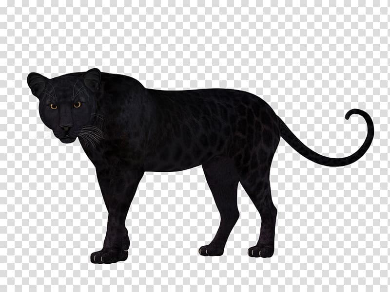 Leopard Panther Felidae Cat Tiger, leopard transparent background PNG clipart