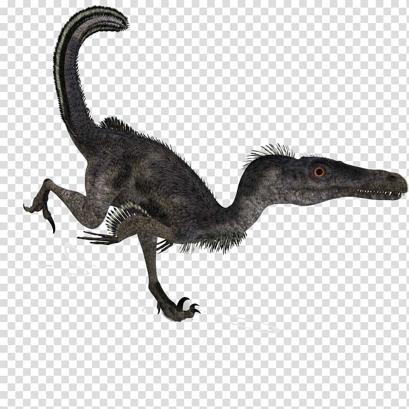 Velociraptor Deinonychus Battle of Giants: Dinosaurs, Tiny dinosaur transparent background PNG clipart