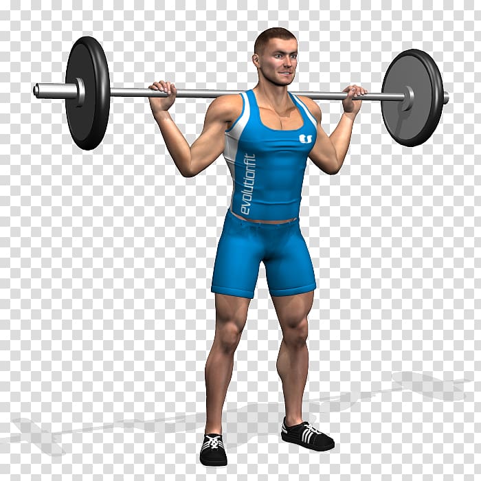 Barbell Dumbbell Bench Weight training Squat, barbell transparent background PNG clipart