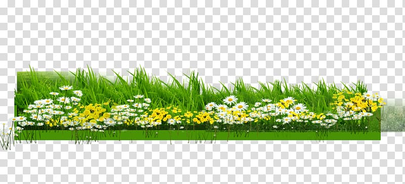 Meadow Green Lawn Computer file, Green City transparent background PNG clipart