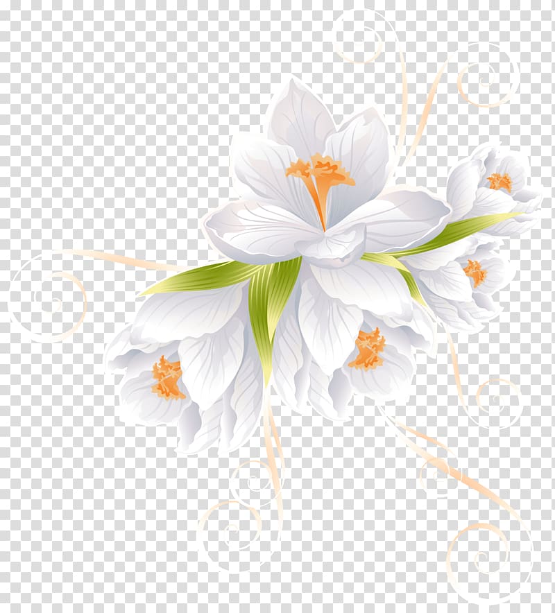 white Crocus flowers illustration, Flower , White Flower Decor transparent background PNG clipart