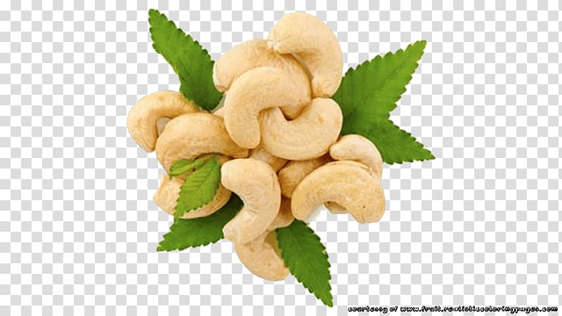 Roasted Cashews Tree nut allergy Food, CASHEW transparent background PNG clipart