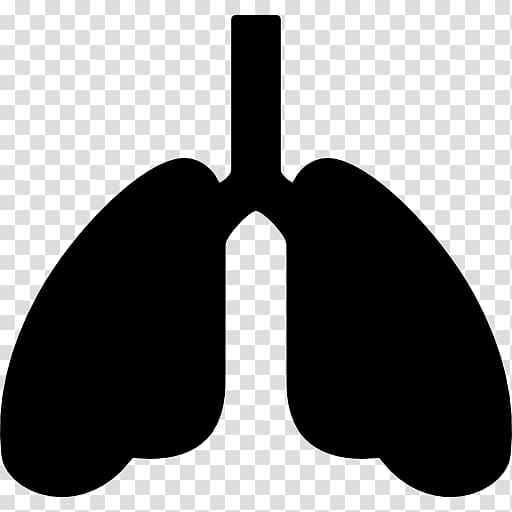 Computer Icons Lung Organ Breathing, lungs transparent background PNG clipart