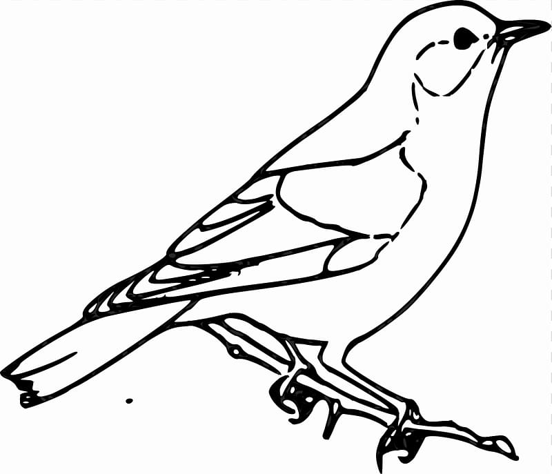 Sparrow Bird Drawing , Quail transparent background PNG clipart