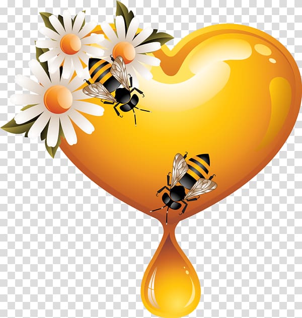 https://p7.hiclipart.com/preview/272/44/838/western-honey-bee-heart-clip-art-bee.jpg