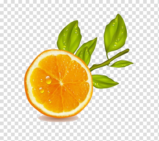 Orange juice Lemon Fruit, orange transparent background PNG clipart