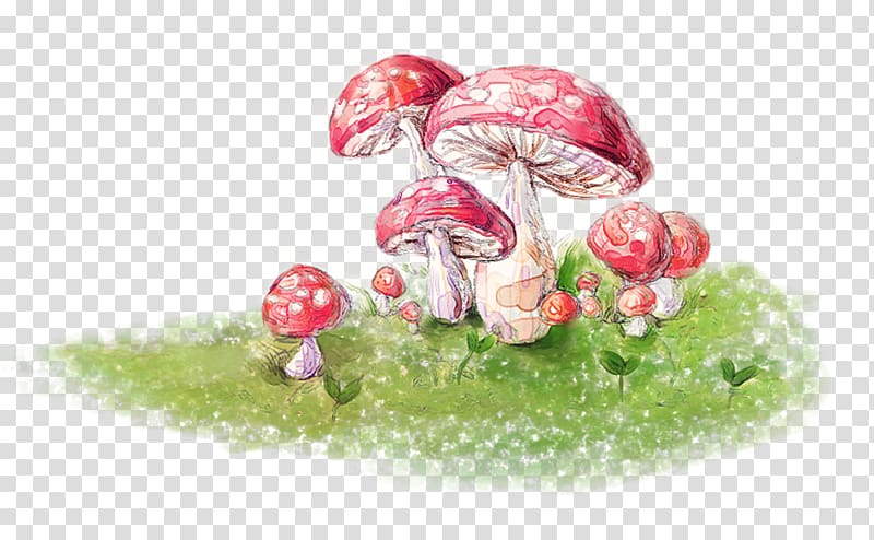 Mushroom Fungus Euclidean , Mushroom transparent background PNG clipart