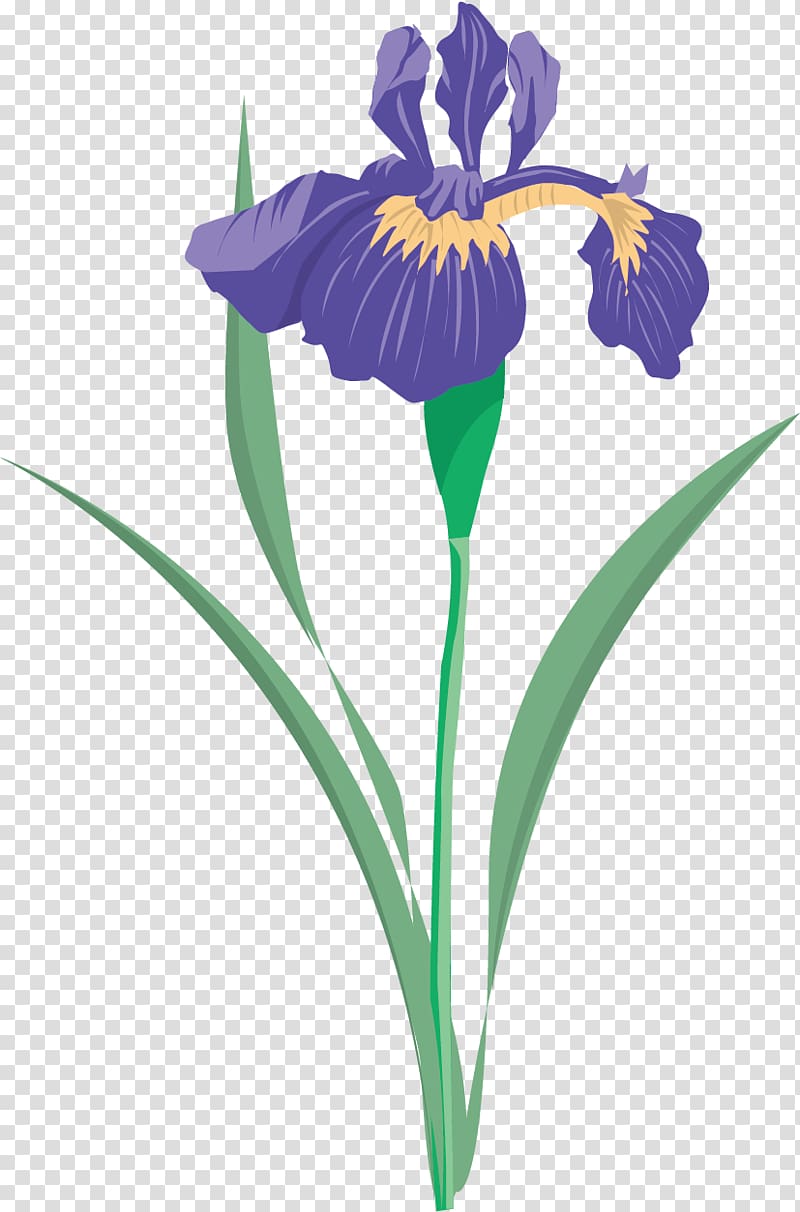 Iris versicolor Iris flower data set , Floral pattern material transparent background PNG clipart