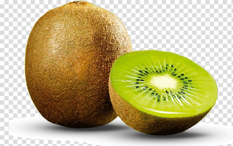 Kiwifruit SUGHARANI FOODS PVT. LTD. Fruit production in Iran New Zealand, tropical fruit transparent background PNG clipart