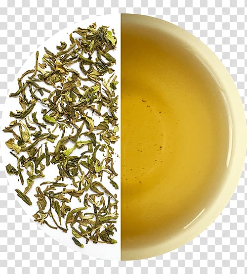 Hōjicha Darjeeling tea Nilgiri tea Oolong Assam tea, tea transparent background PNG clipart