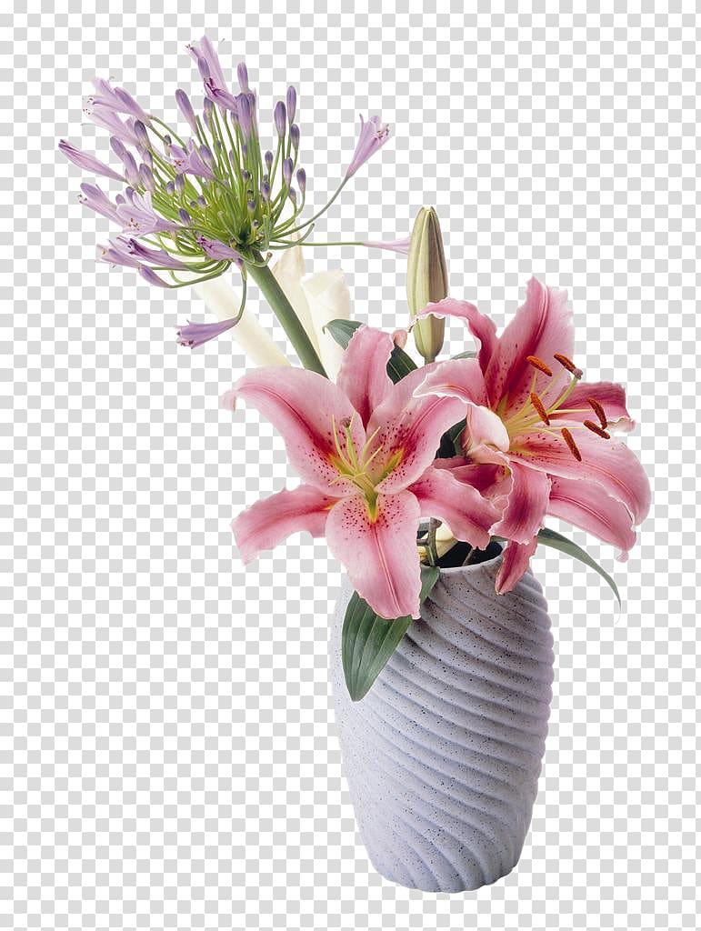 Flower Lilium Drawing, Table lily flower material transparent background PNG clipart