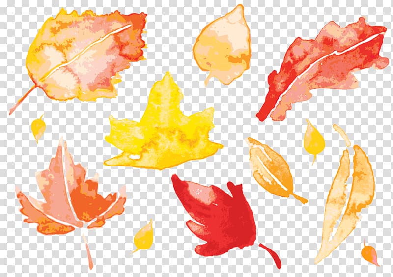 assorted leaves , Autumn Leaves Watercolor painting Leaf, watercolor leaves transparent background PNG clipart