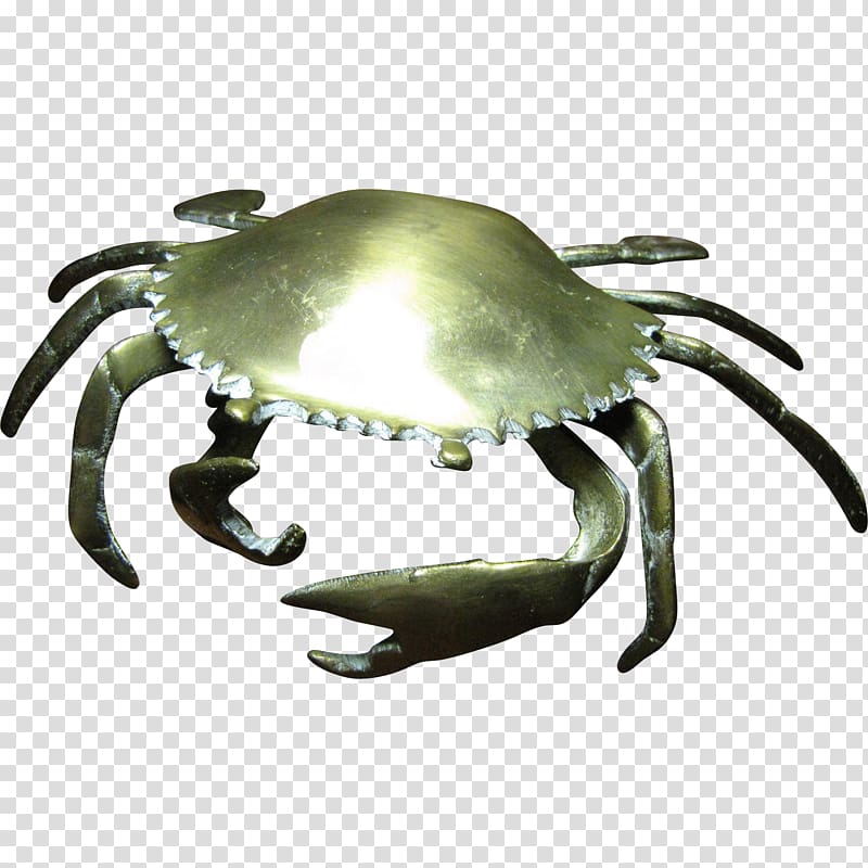 Dungeness crab Decapoda Animal source foods, crab transparent background PNG clipart