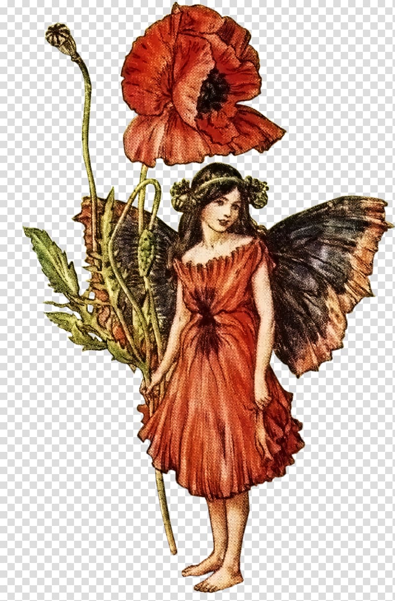 Croydon The book of the flower fairies Fairy Illustration, Flower Elf transparent background PNG clipart