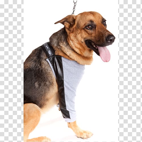 Dog breed German Shepherd Puppy Bursitis Elizabethan collar, puppy transparent background PNG clipart