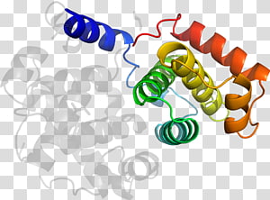Organism , design transparent background PNG clipart thumbnail