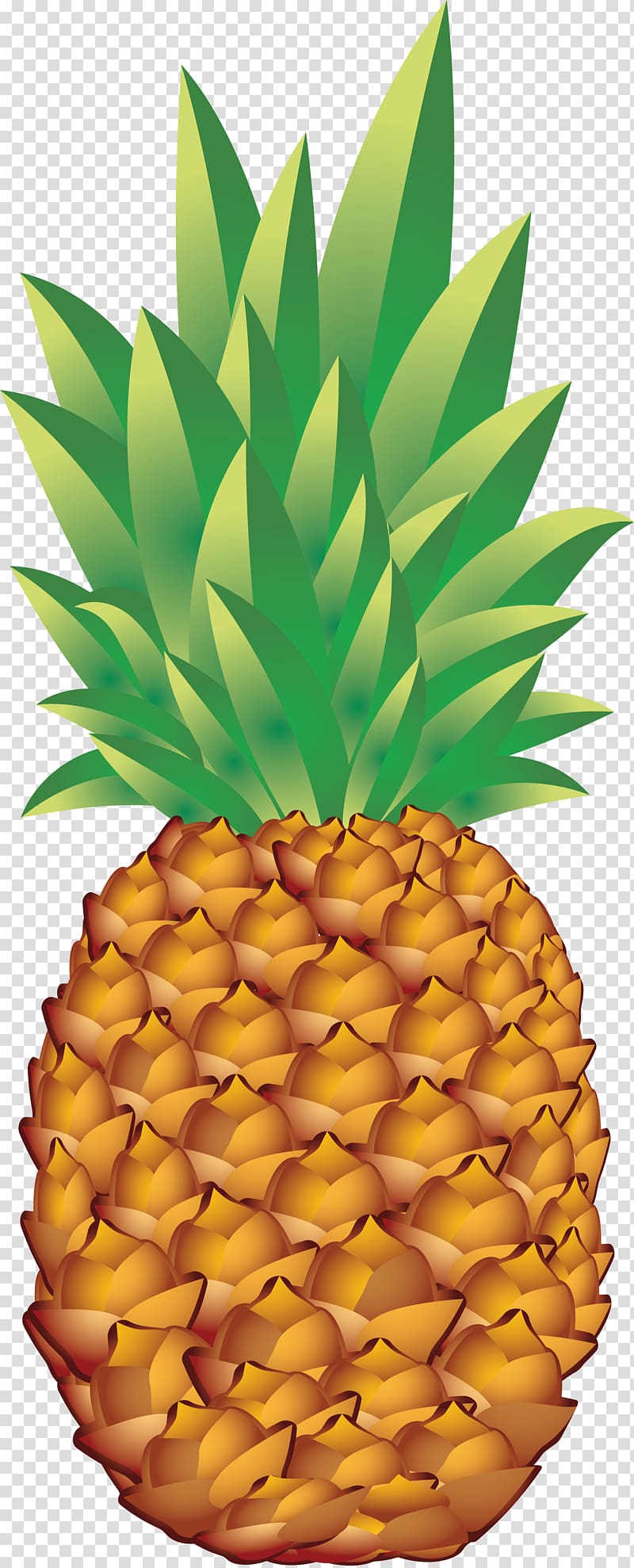 Pineapple transparent background PNG clipart