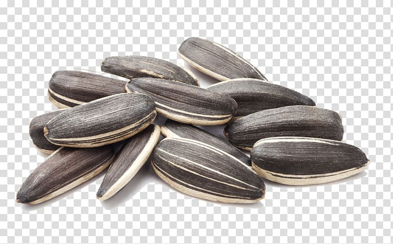 sunflower seed lot, Common sunflower Sunflower seed Nut, Sunflower close-up transparent background PNG clipart