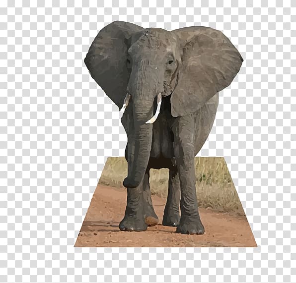 African bush elephant African forest elephant Indian elephant The African elephant, Real love card Elephant transparent background PNG clipart